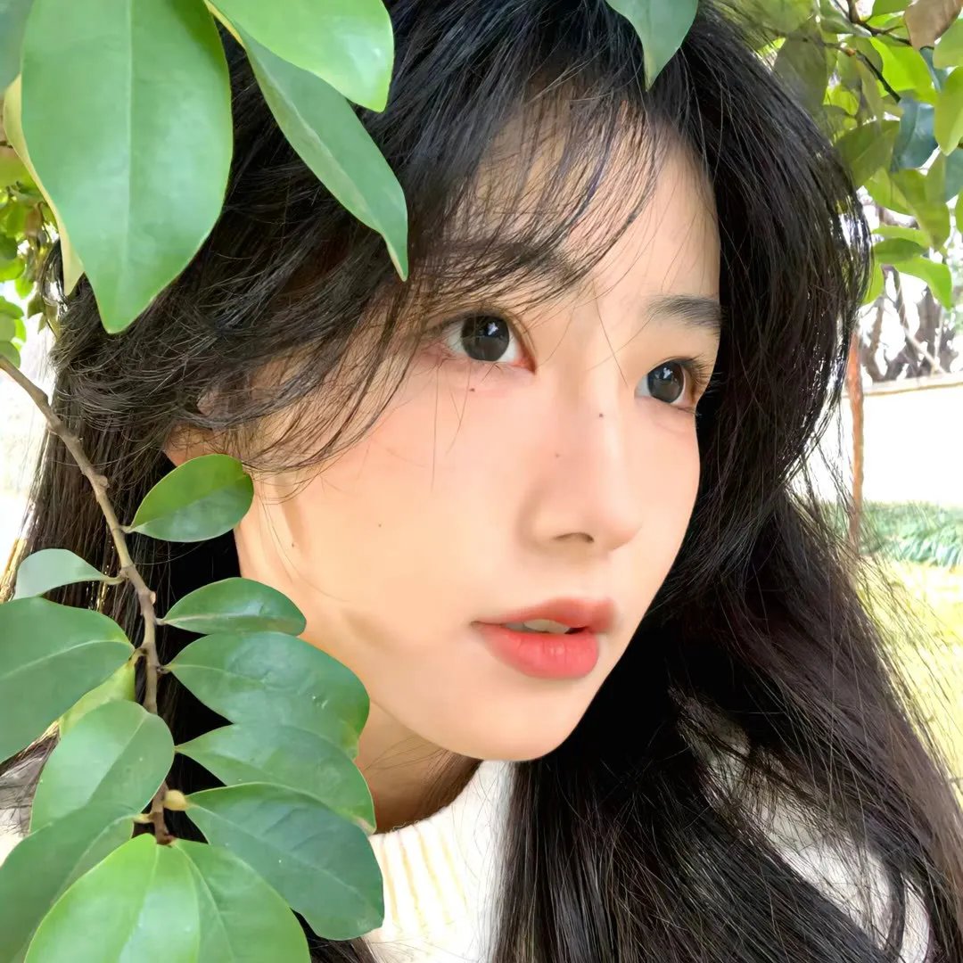 玛雅帮第五季